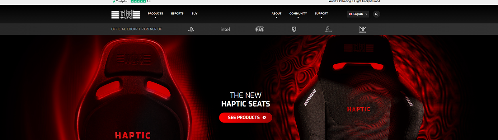 Next Level Racing website preview