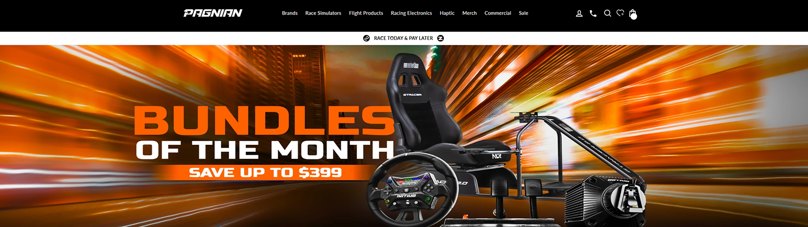Pagnian Imports website preview